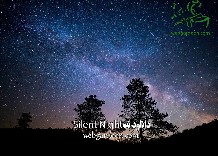 2020 Silent Night