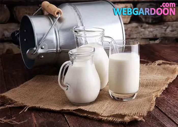 رژیم شیر برای کاهش وزن سریع