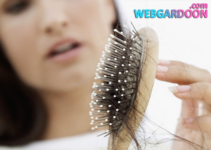 بهترین راه حلها برای جلوگیری از ریزش مو