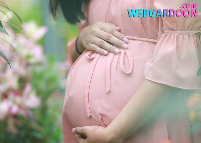 آنچه باید درباره بارداری بدانید!,وبگردون,مجله اینترنتی وبگردون,webgardoon
